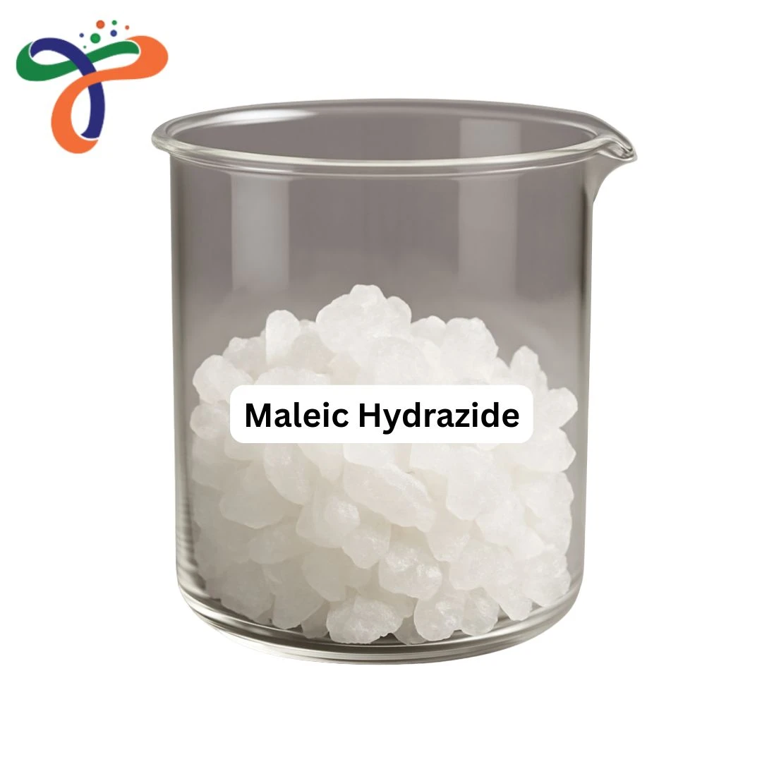 Maleic Hydrazide